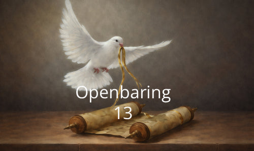 Aflevering 16: Openbaring 13